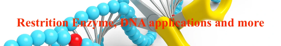 Restriction Enzymes