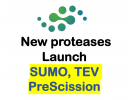 Protease Launch