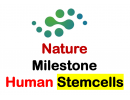 Nature stem cell milestone