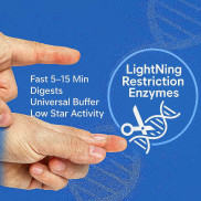 Restriction Enzymes