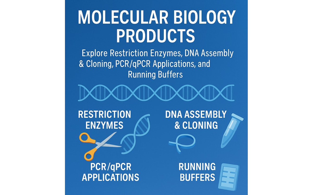 StemImmune Expands Molecular Biology Portfolio: Restriction Enzymes and More StemImmune Expands Molecular Biology Portfolio: Restriction Enzymes and More