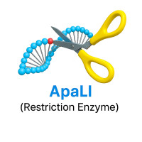 ApaLI ApaLI