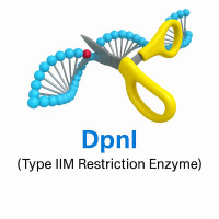 DpnI DpnI