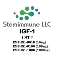 Recombinant Human IGF-1