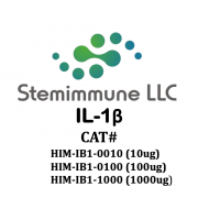 Recombinant Human IL-1β