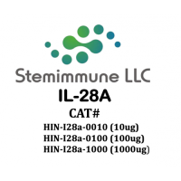 Recombinant Human IL-28A Recombinant Human IL-28A