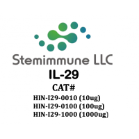 Recombinant Human IL-29