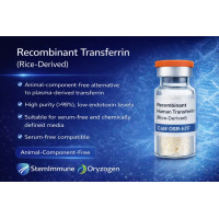 OsrhTF-Recombinant Human Transferrin
