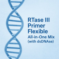 RTase III Primer Flexible All-in-One Mix (with dsDNase) RTase III Primer Flexible All-in-One Mix (with dsDNase)