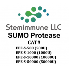Recombinant SUMO Protease