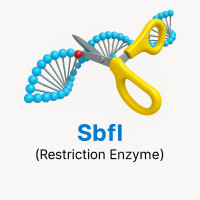 SbfI SbfI