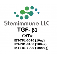 Recombinant Human TGF-β1
