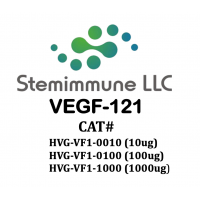 Recombinant Human VEGF-121