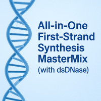 All-in-One First-Strand Synthesis MasterMix (with dsDNase) All-in-One First-Strand Synthesis MasterMix (with dsDNase)