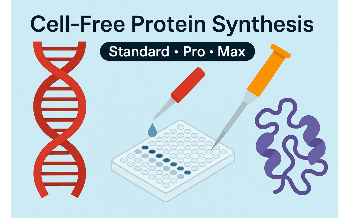 Cell-Free Protein Synthesis Cell-Free Protein Synthesis