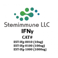 Recombinant Human IFNγ Recombinant Human IFNγ