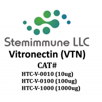 Recombinant human Vitronectin (VTN)