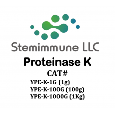 Recombinant Proteinase K