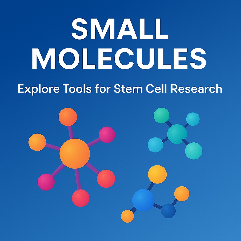Small Molecules