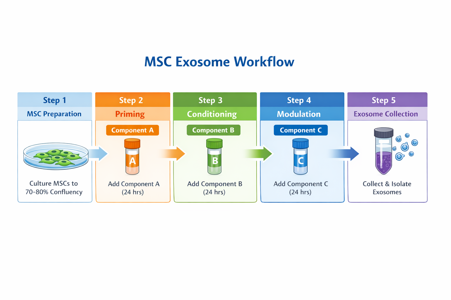 MSC Exosome Cytokine Kit workflow protocol